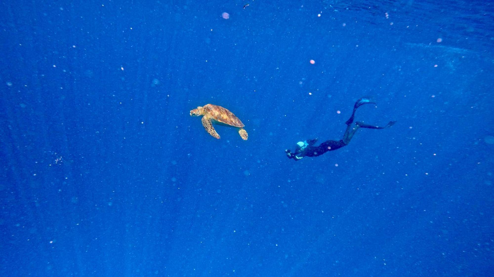 Konut By Thakuru Hotell Guraidhoo  Eksteriør bilde